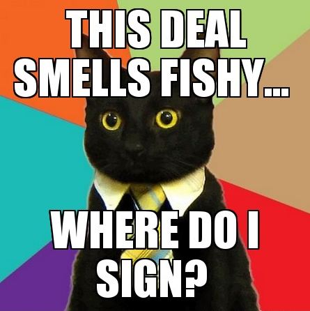 Deal-Business-Cat